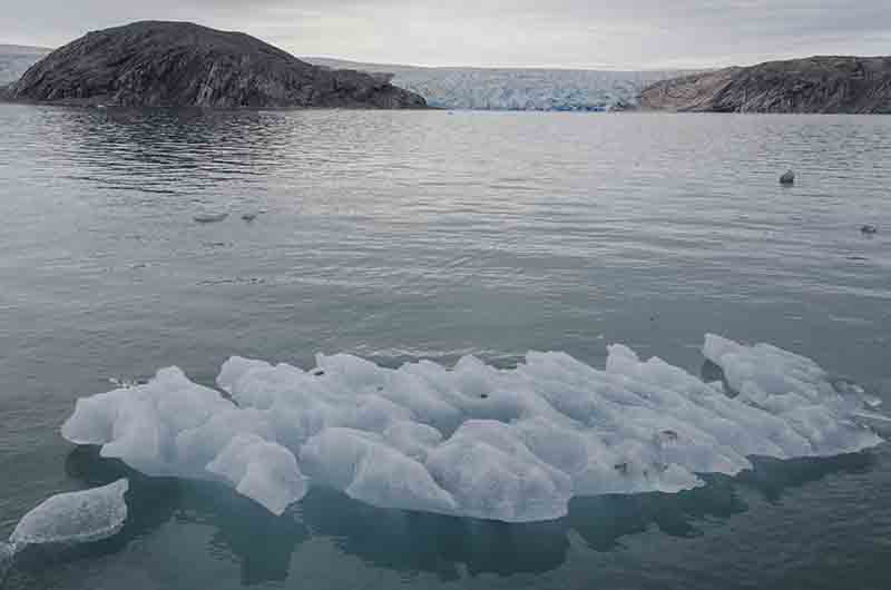 50 - Groenlandia - fiordo Tunulliarfik - glaciar Qaleraliq